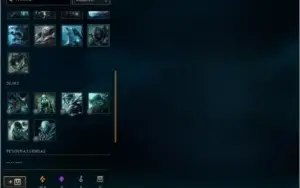 LVL 29 quase 30, 14champ, mts frags 1 skin temmo squad ómega