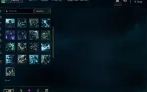 LVL 29 quase 30, 14champ, mts frags 1 skin temmo squad ómega