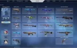 Conta Valorant Com Bastante Skins