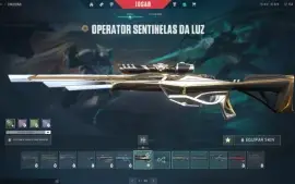 Conta Valoranto com + de R$1.300 gastos