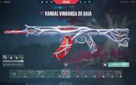 Conta Valoranto com + de R$1.300 gastos