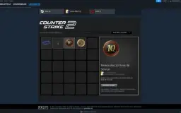 Conta 18 Anos steam + Medalhas + CS Prime