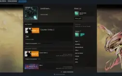 Conta 18 Anos steam + Medalhas + CS Prime