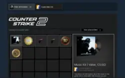 Conta Cs2 Prime, Medalhas 10 E 5 Anos +