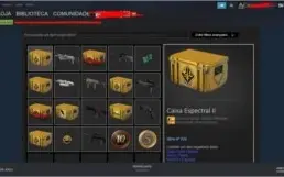 Conta Steam com 13.4 anos CSGO Prime, c/ Medalha 10-5 anos.