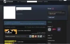 Conta Steam CSGO Prime/ 14 Anos / Medalha de Lealdade / Etc