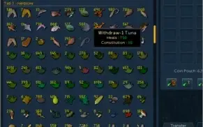 Conta RuneScape 3 Ironman/Independente