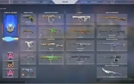 Conta Valorant + VANDAL E OPERATOR ANCIFOGO (DRAGAO) + skins