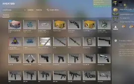 ⭐ 15 Anos/ SUPREMO*/ Csgo 2 Medalhas/ 9900H/ 214 Wins...