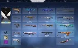 CT VALORANT COM CARDS DO BETA/COM MAIS DE 700 REAIS GASTOS