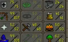 òtima conta pra pk/pvm levels de combate alto