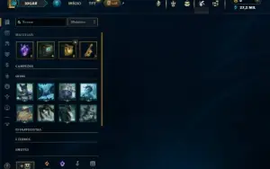 Mestre com 30 Champs e 2 Skins + 8 Fragmentos