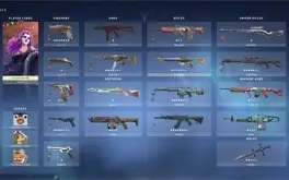 Conta valorant rara com muita skin