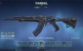 Conta valorant rara com muita skin