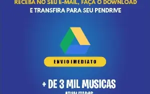 Pack de Músicas Atualizadas 2025 (Pendrive Digital)
