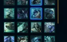 Conta D2 307 Skins