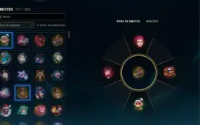 Conta D2 307 Skins