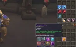 Paladino holy  245 com [Ashes of Al'ar] na bag