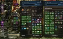 CONTA NEW WORLD LVL 60 GS 602 DEVALOKA