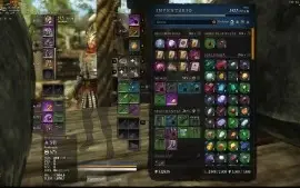 CONTA NEW WORLD LVL 60 GS 602 DEVALOKA