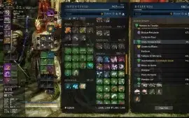 CONTA NEW WORLD LVL 60 GS 602 DEVALOKA