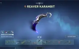 Conta Valorant Ex Radiante 111 Skins