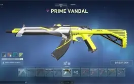 Conta Valorant Ex Radiante 111 Skins