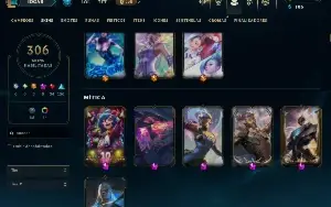 Conta Pax Tf [Br]