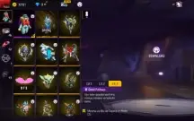 Conta de FF muito rara
