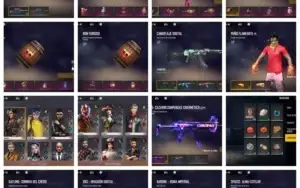 Conta de Free fire com 8 passes de Elite e etc....