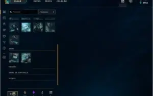 Conta League of lengends, 84 Skins
