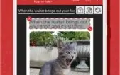 Meme Generator PRO (Sem Propagandas/Completo) para Android