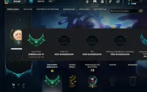 Esmeralda 4 com 30 Champs e 1 Skins ( SEM EMAIL CONFIRMADO )