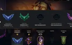 Conta D2 borda mestre 244 skins + Skins/faca valorant