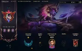 Conta segura/ desde a season 6/344 skins/todos os champs