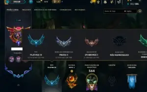 Bronze 1 com TODOS os Champs e 126 Skins ( ADC / JG / SUP )