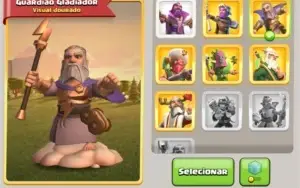 CV 14 em evolução