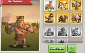CV 14 em evolução