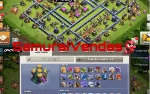 Cv14 braba (dudous)