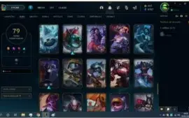 Level189, Full champ com 79 skins