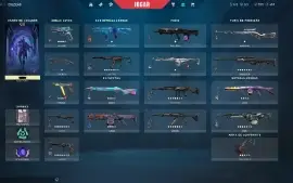 Conta Full acesso com todas skins saqueadoras