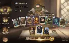 Harry potter magic awakaned account, top 1 global, level 17+