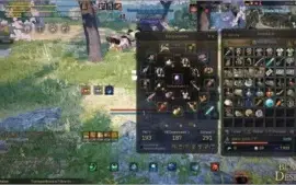 Conta Black Desert High end - Witch lvl 61