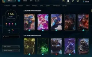 Mestre 166 skins