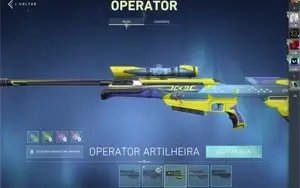Conta de valorant com bastante skin e no precin