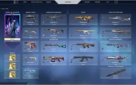 Conta Valorant quase 2k Gastos