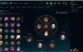 CONTA GRAOMESTRE DIVERSAS SKINS