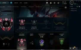 CONTA GRAOMESTRE DIVERSAS SKINS