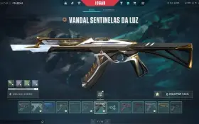 Conta Valorant Imortal 2X 2 Mil Reais Em Skins