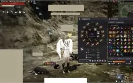 Conta Black Desert Online main Valkyria lvl 58 e +